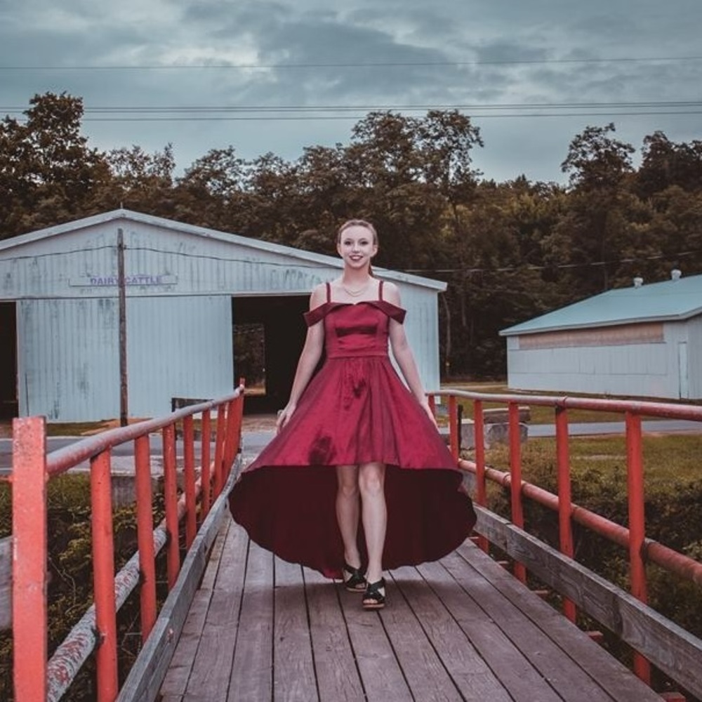 B. Darling Formal Gown size 9/10